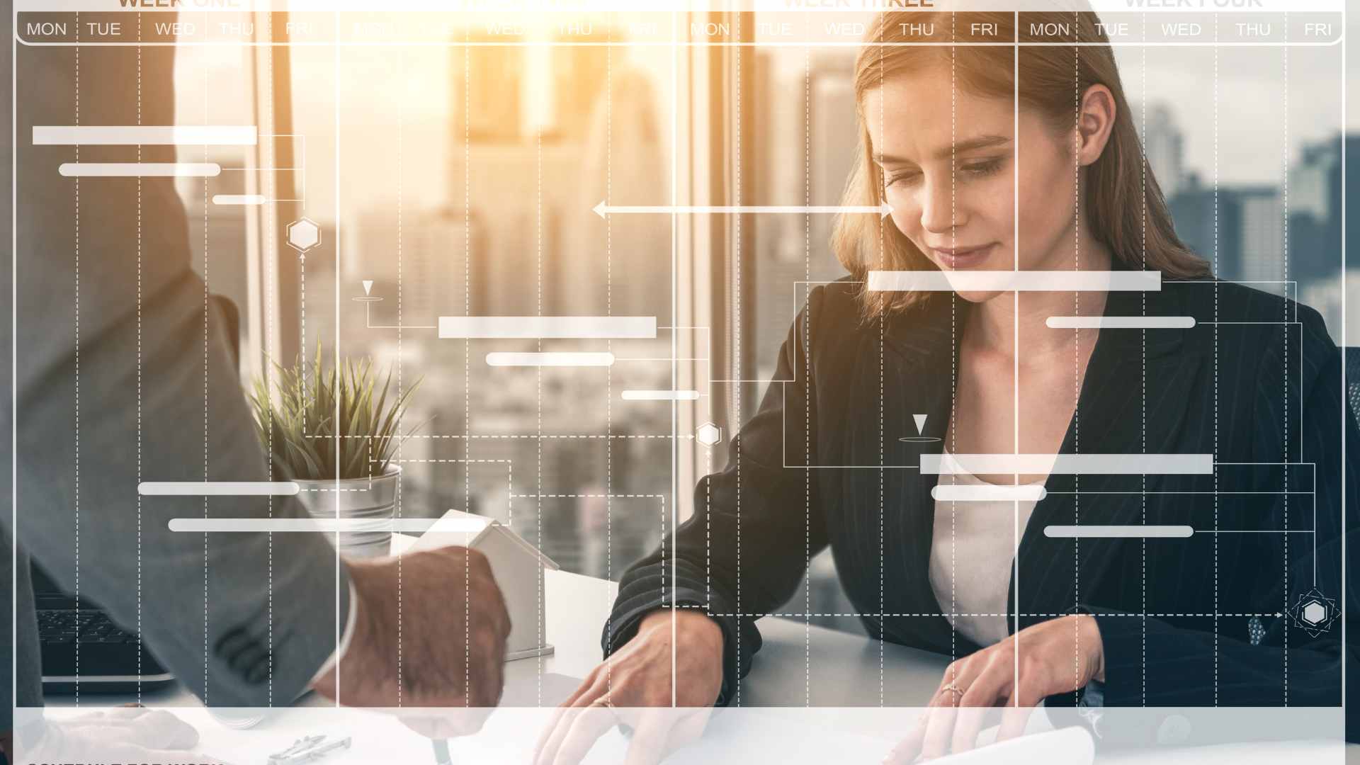 Planning pr�visionnel